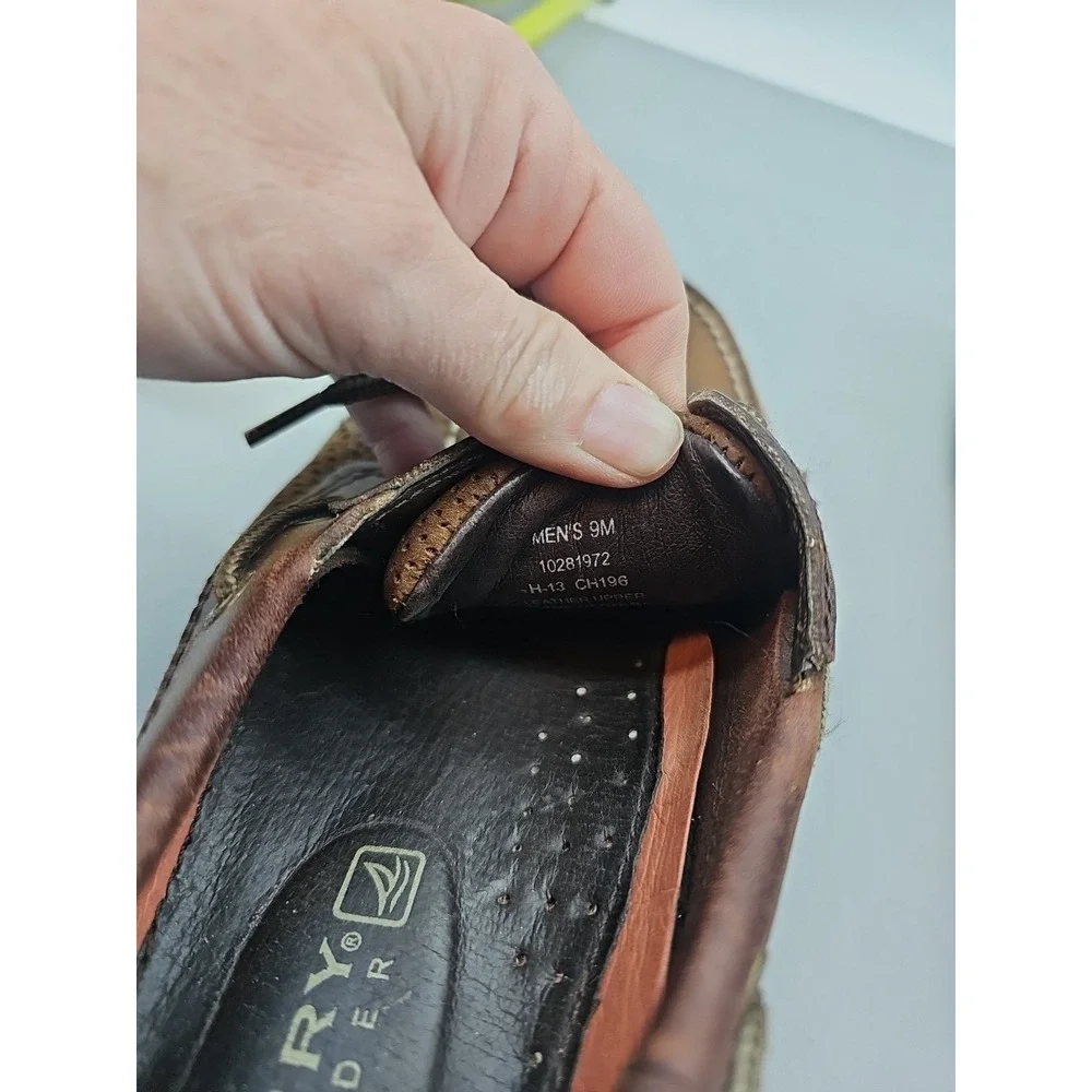 Sperry elevate your