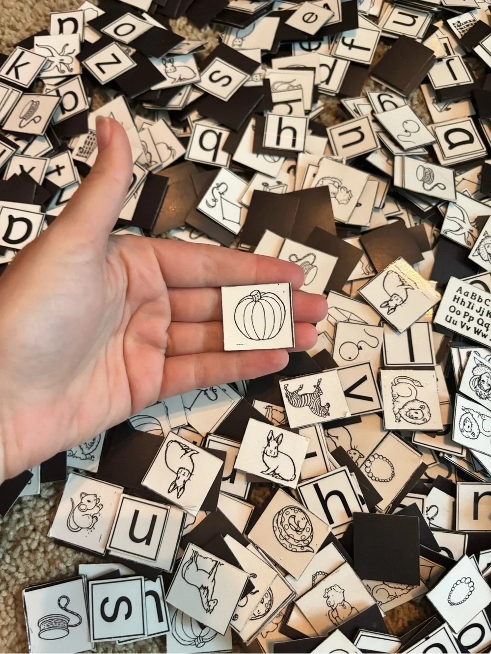 Alphabet magnets with pictures