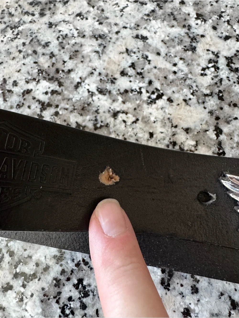 Harley-Davidson Black Leather Belt with Silver Eagle Emblem