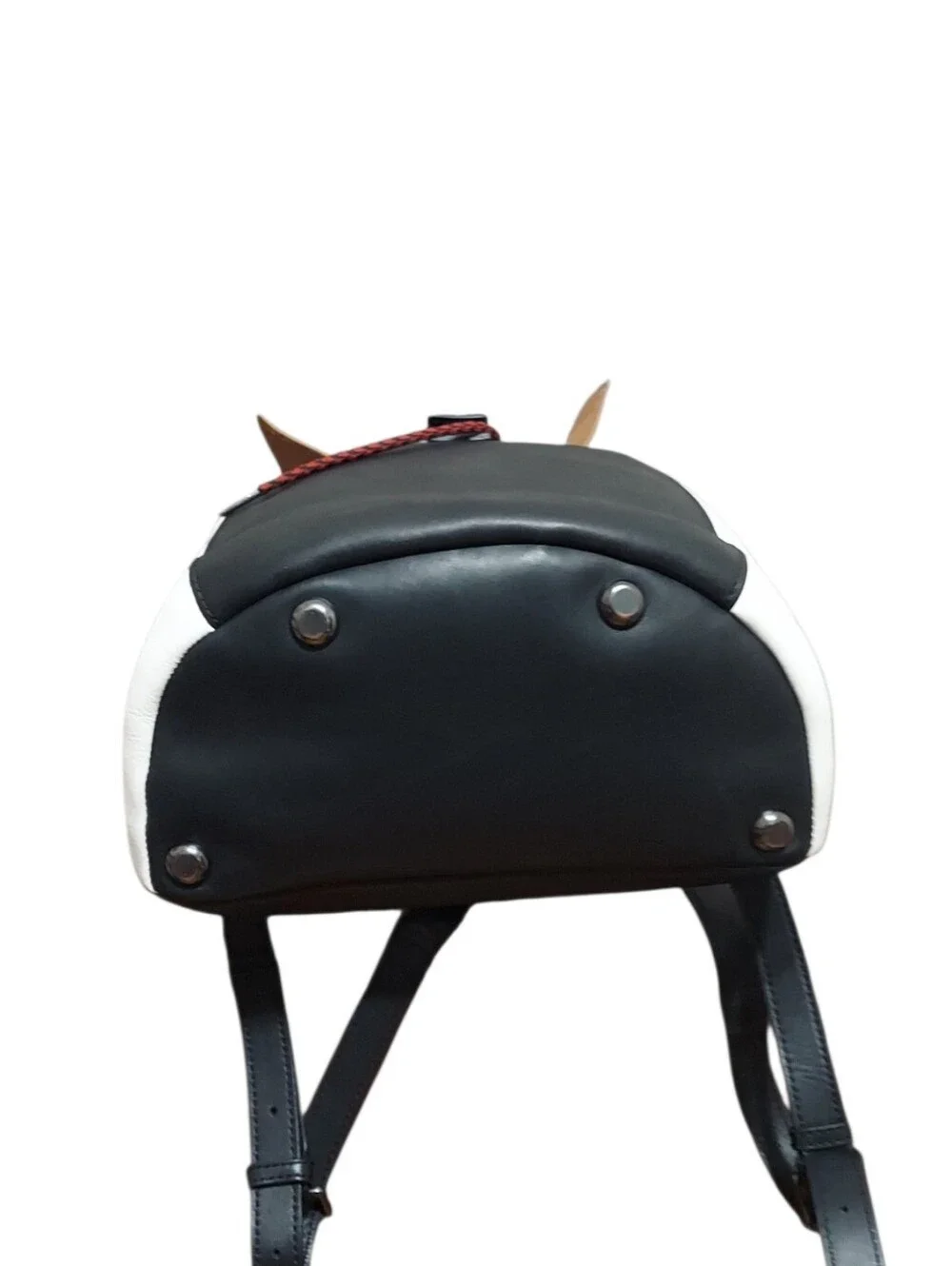 Sorel leather backpack