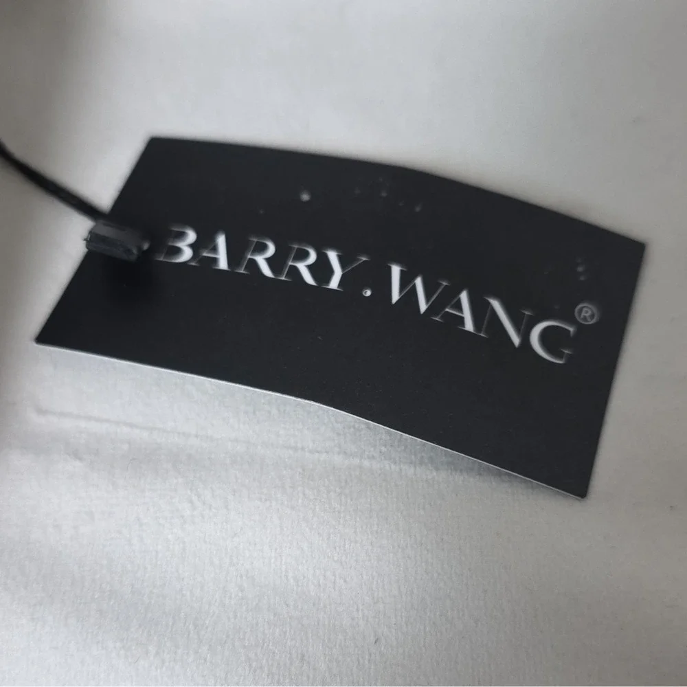 Barry.Wang accessory wang necktie