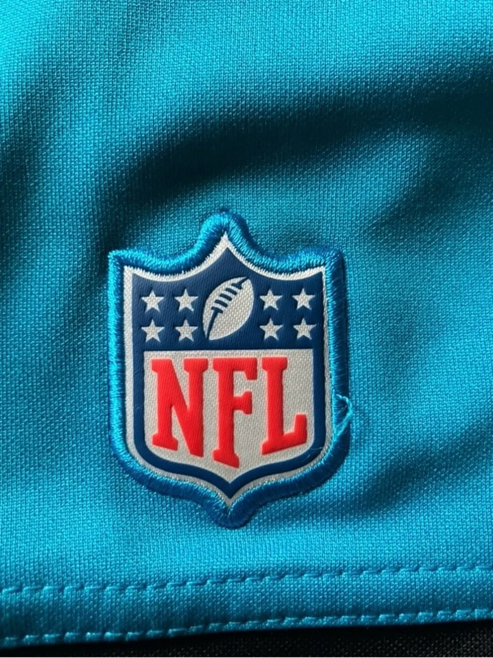 Nike Carolina Panthers Performance Polo