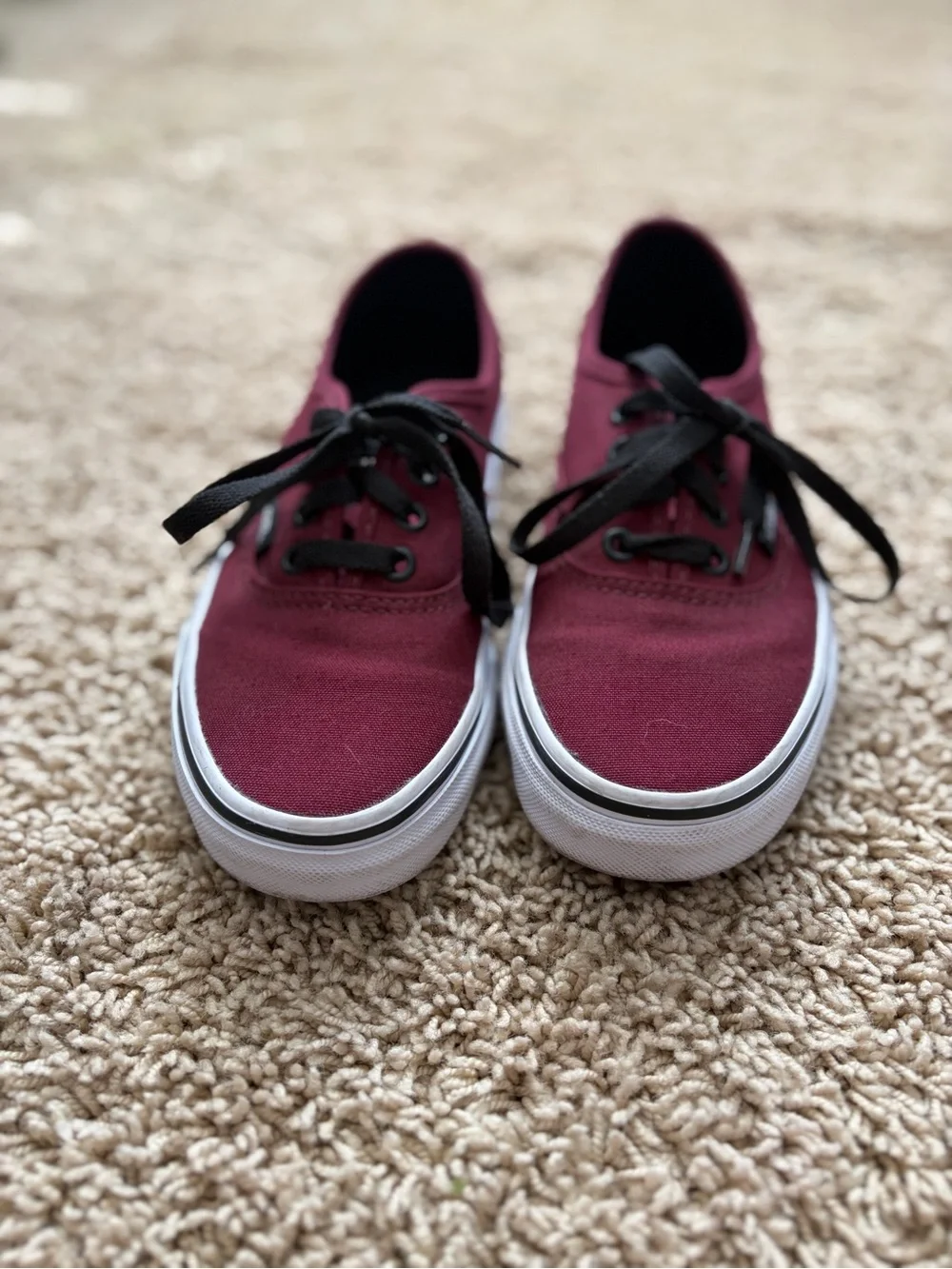 Vans maroon canvas