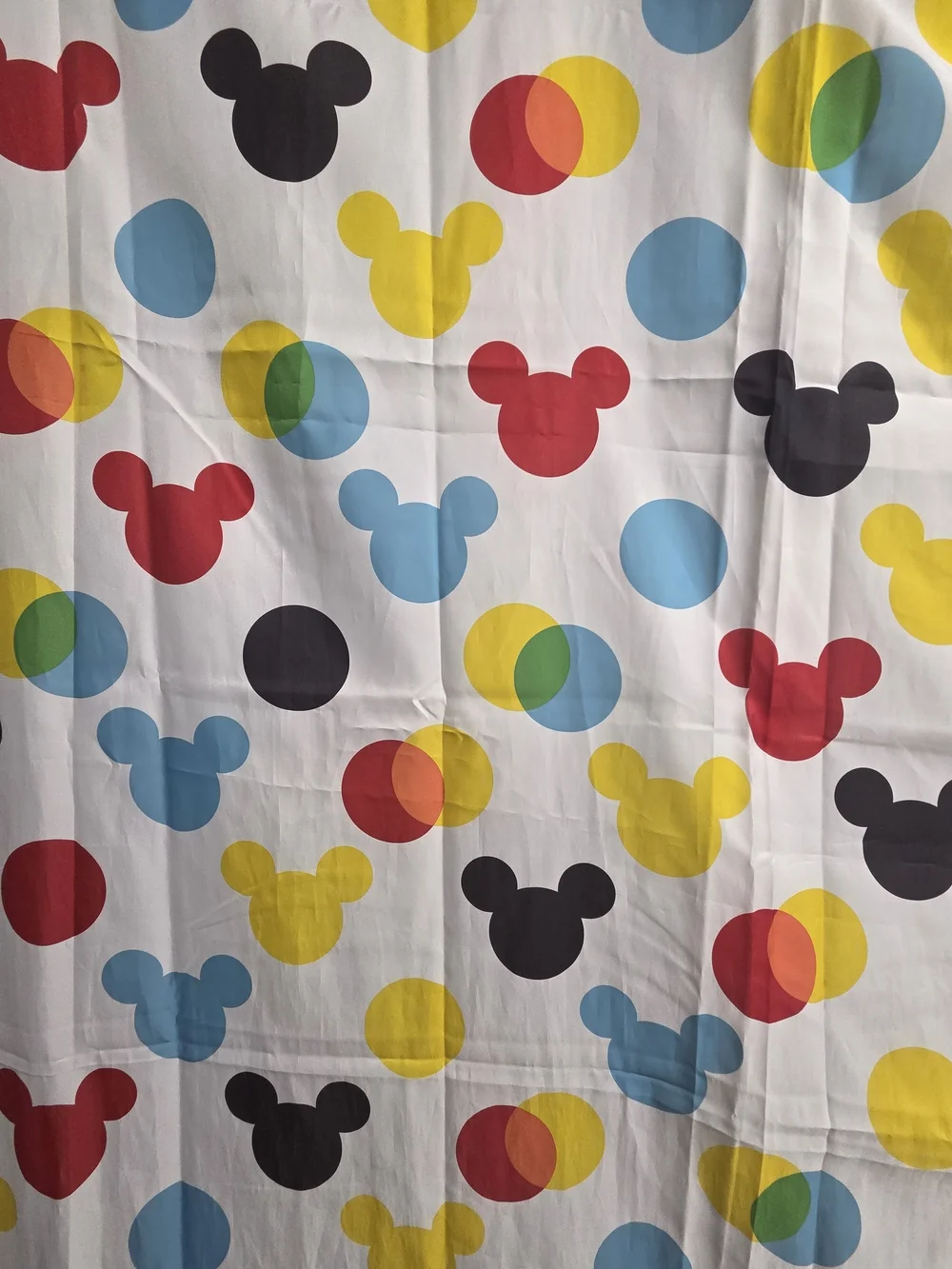 Disney shower curtain