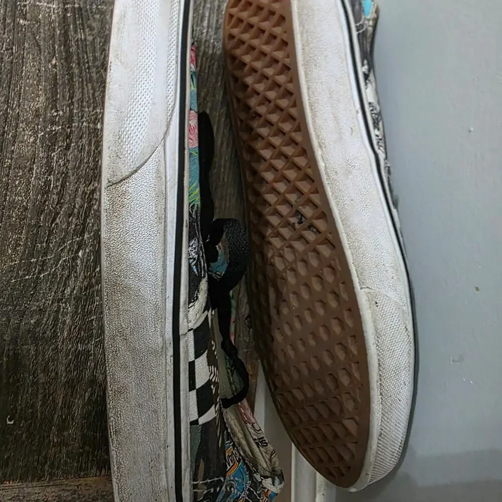 Vans these authentic