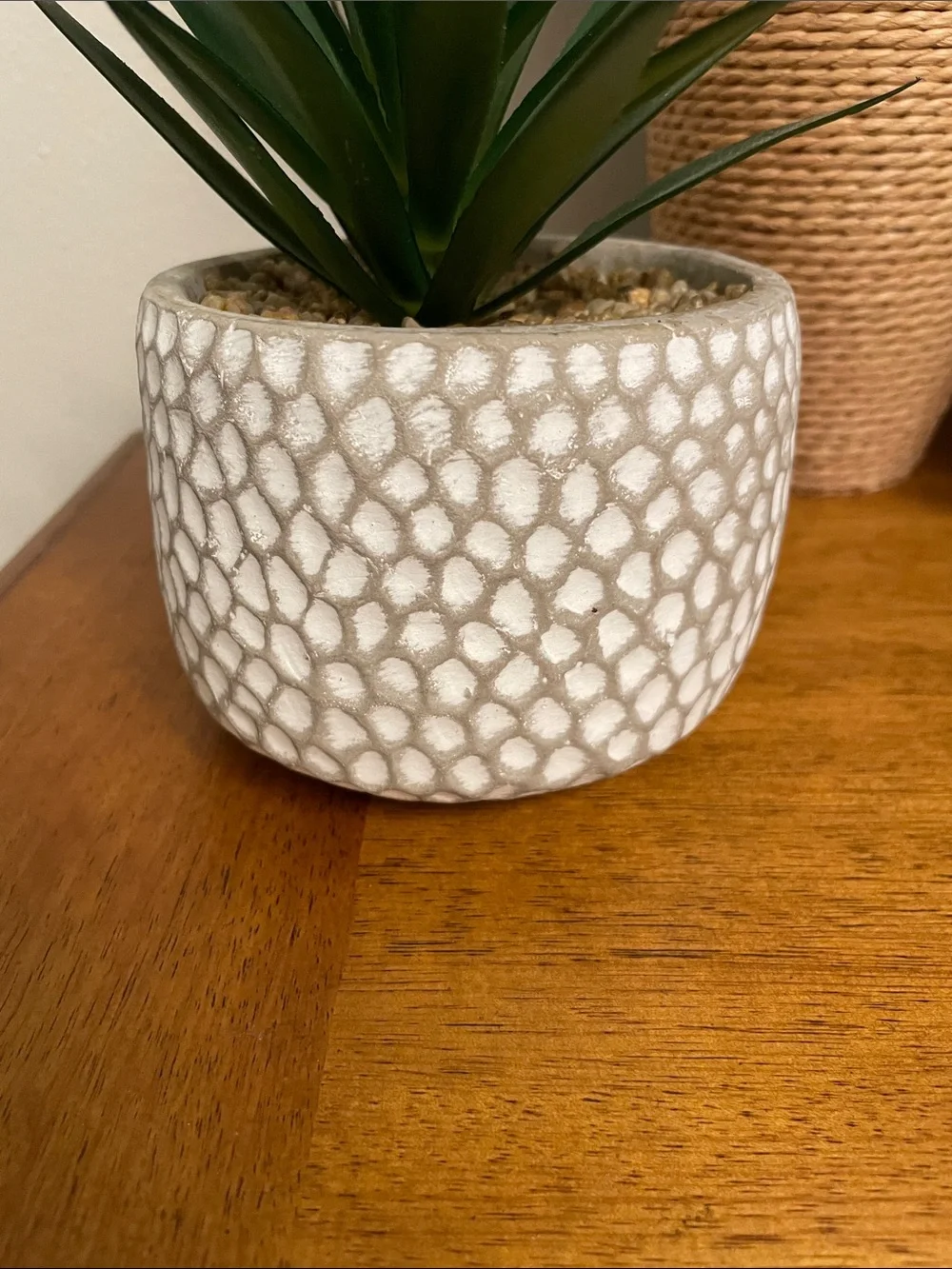 Artificial Faux Green Succulent Plant in Cement Pot Planter Excellent Condition