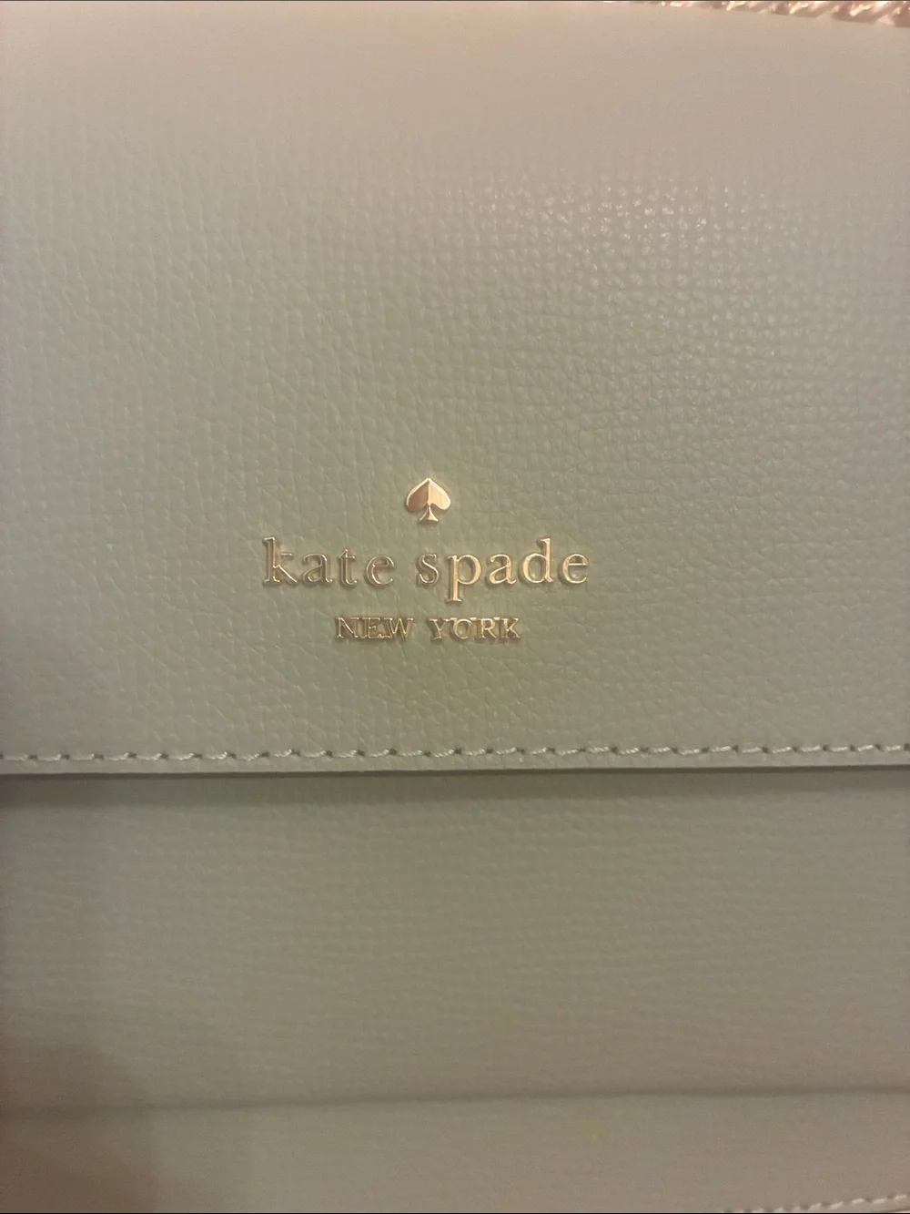 kate spade Mint Green Leather Crossbody with Gold Chain‎ Strap