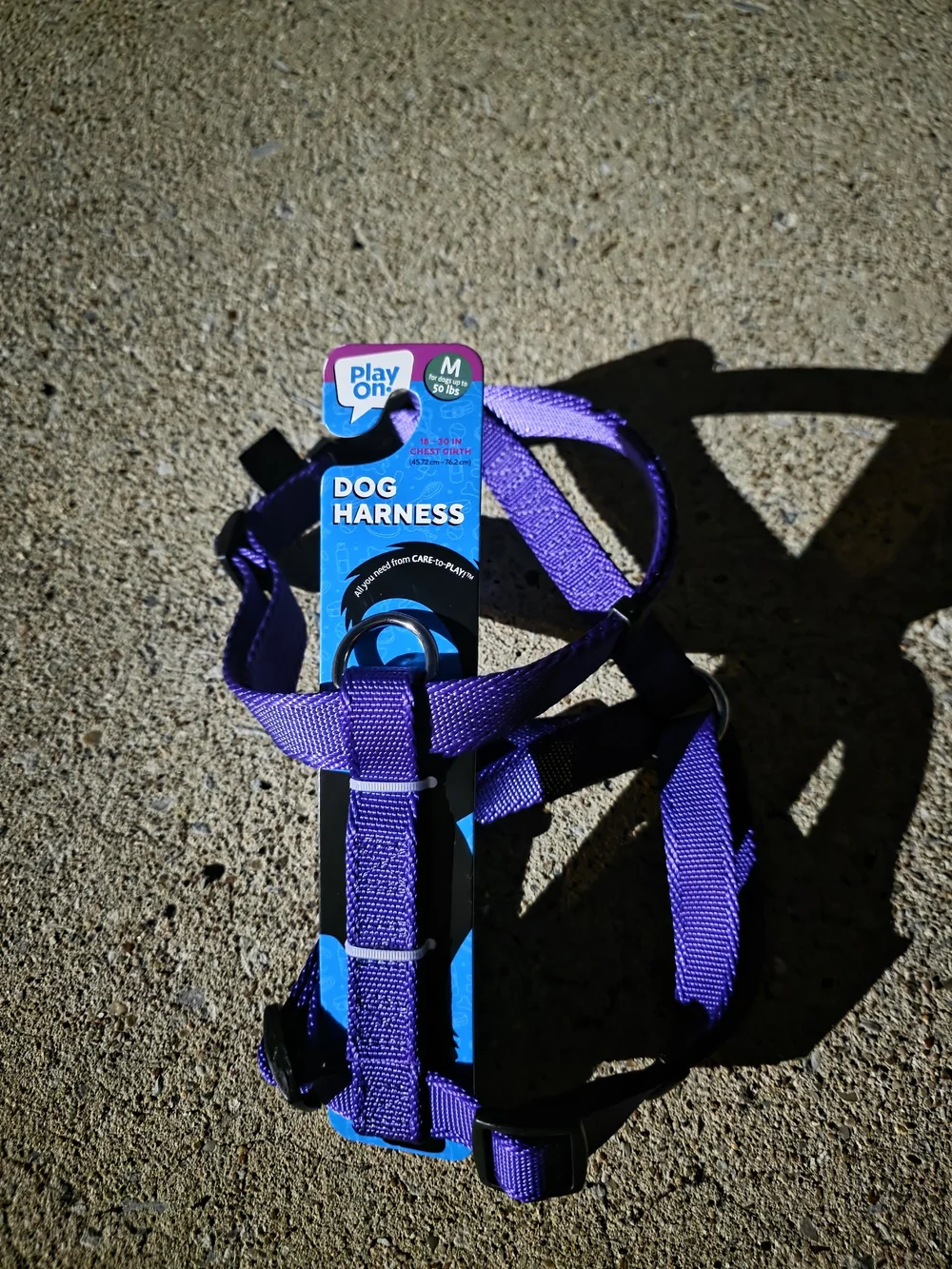 Play On purple dog