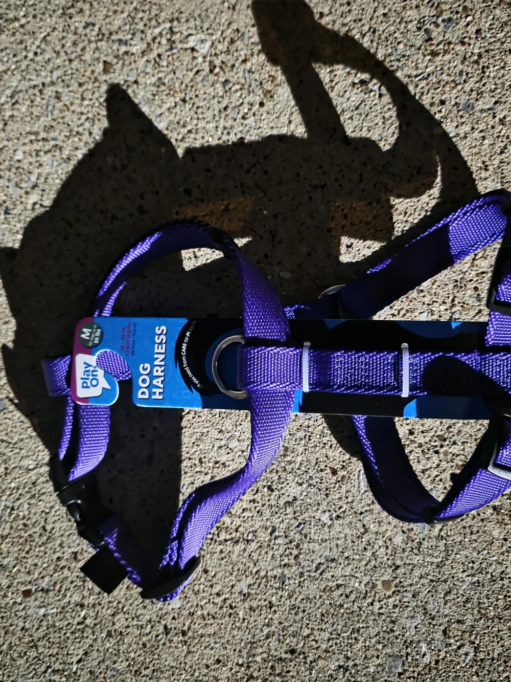 Play On purple dog