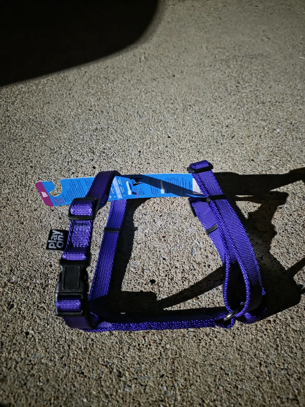 Play On purple dog