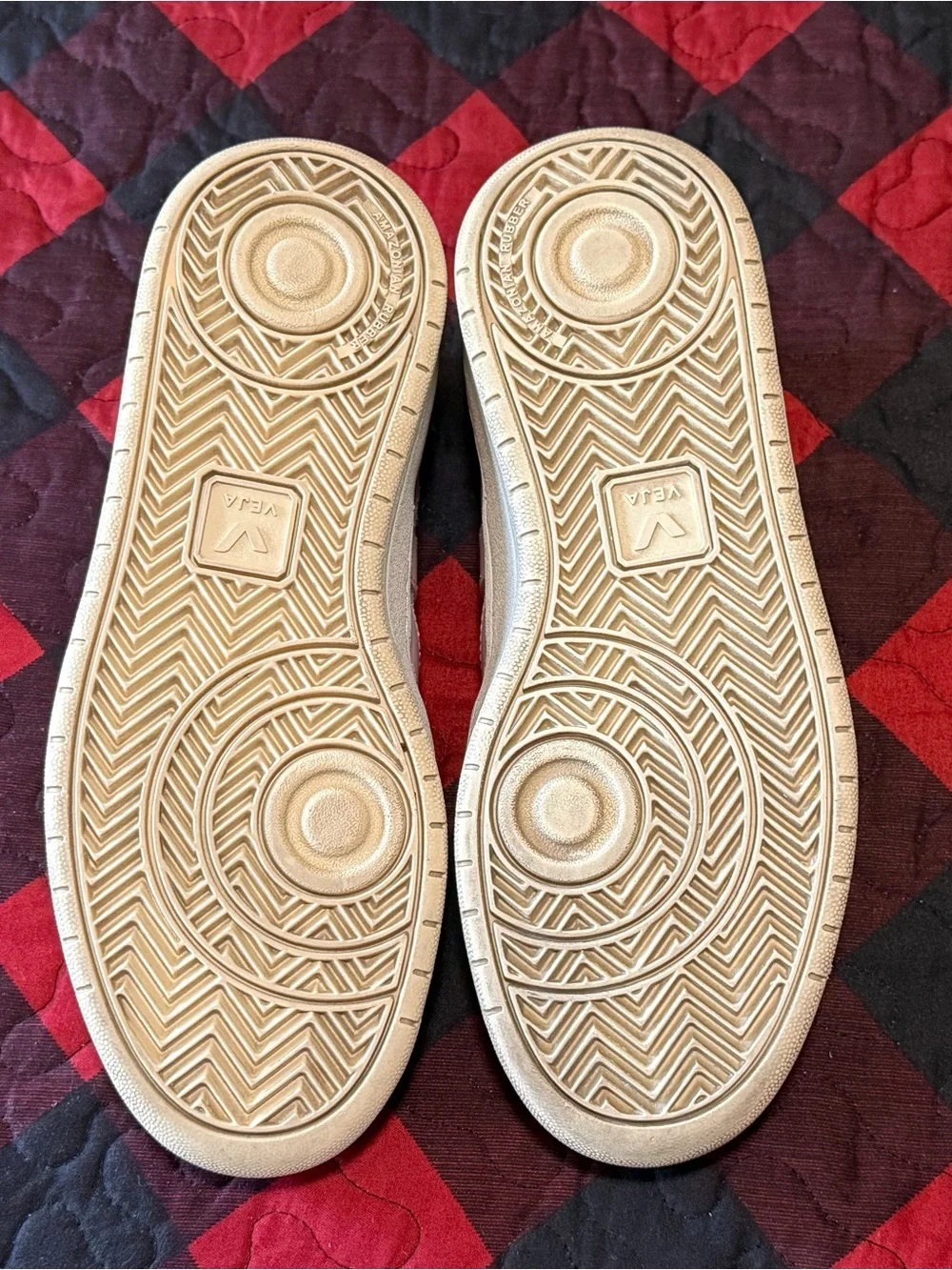 Veja these sneakers