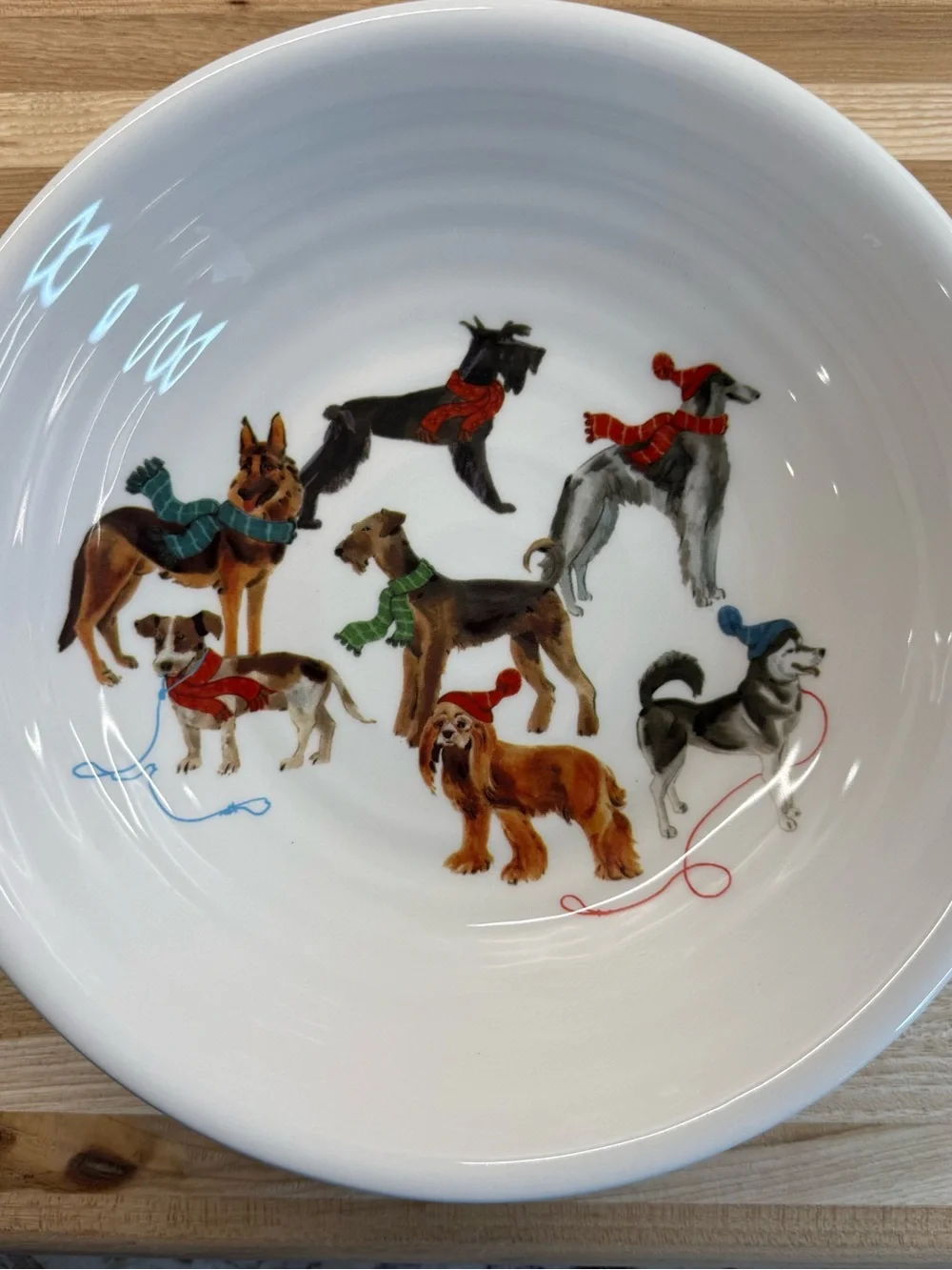 Ceramica Cuore Italy Winter Dogs Pasta Soup Bowl 9
