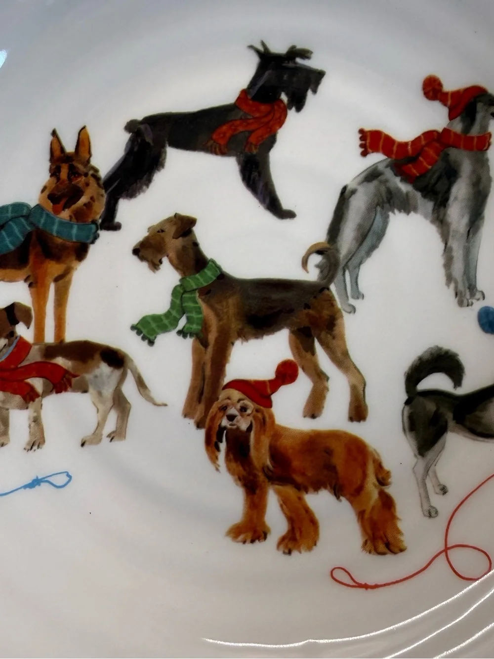 Ceramica Cuore 🐶 ceramica