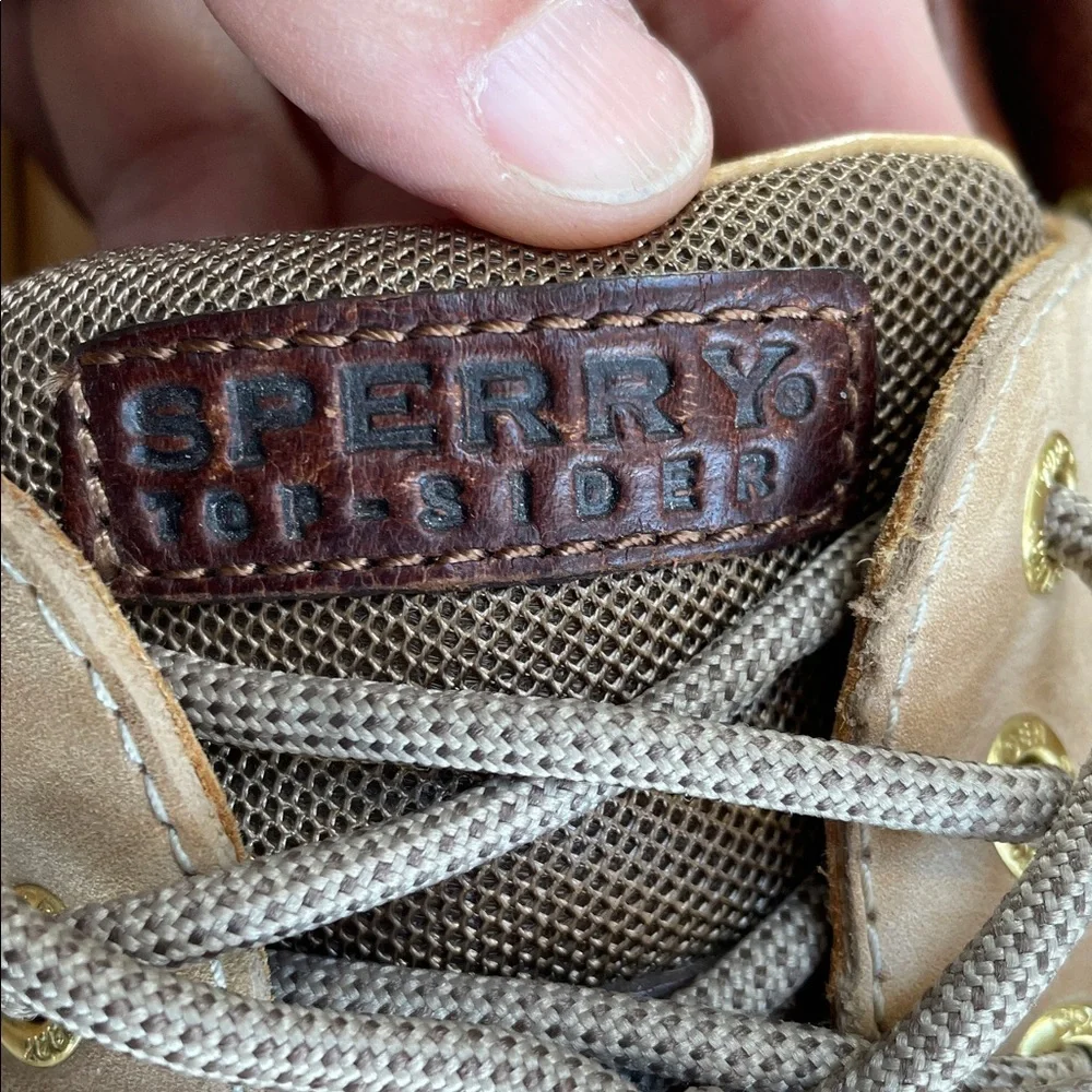 Sperry gold cup