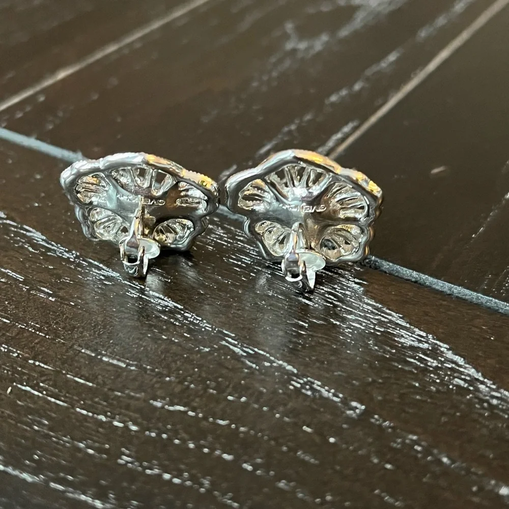 N/A earrings used clip
