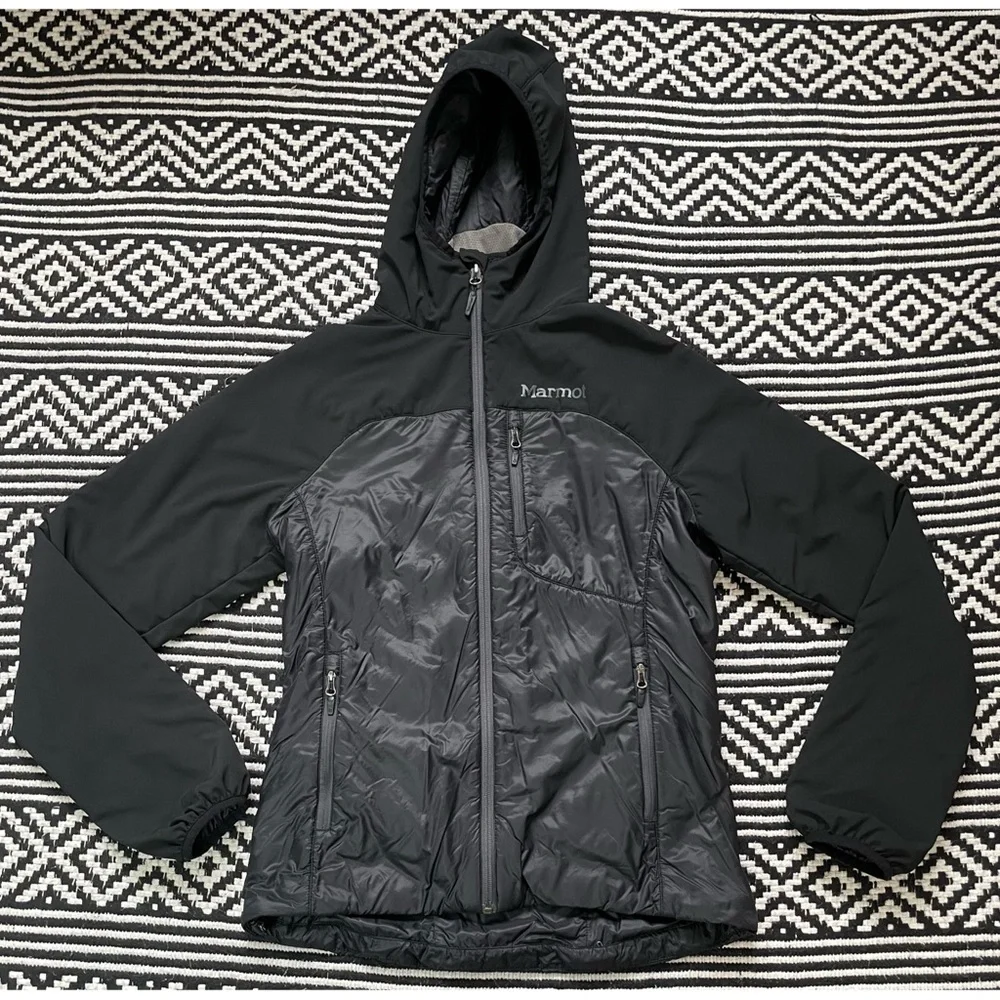 Marmot black isotherm