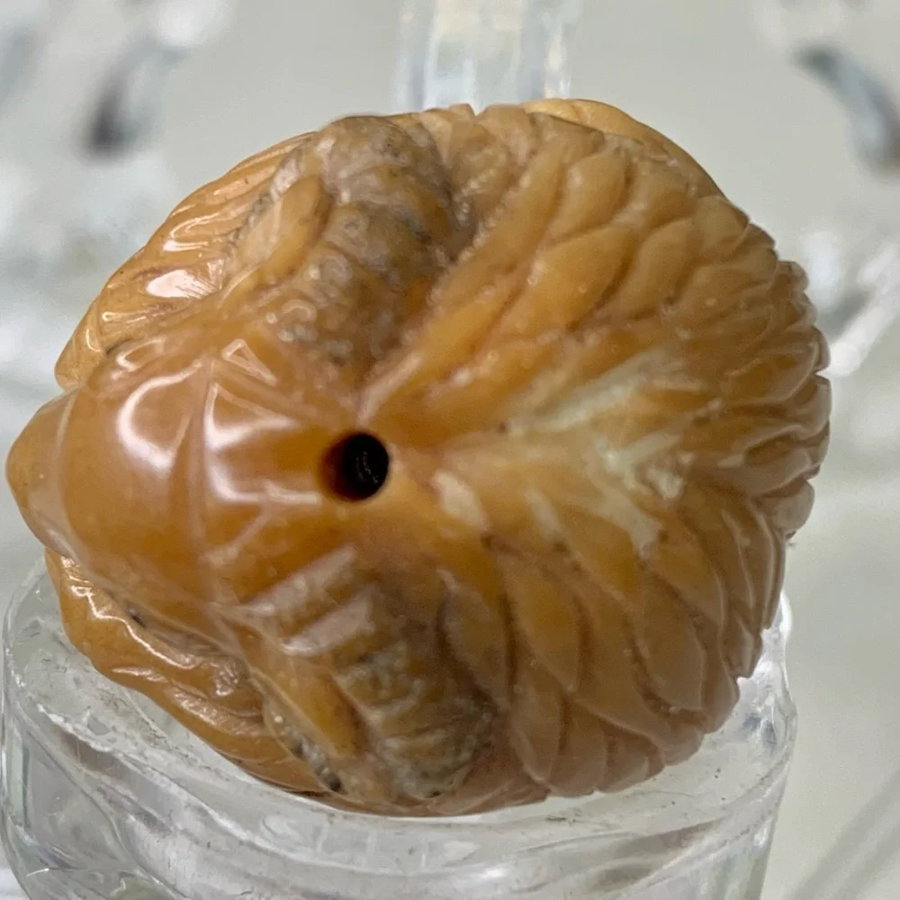 Netsuke nut good tagua