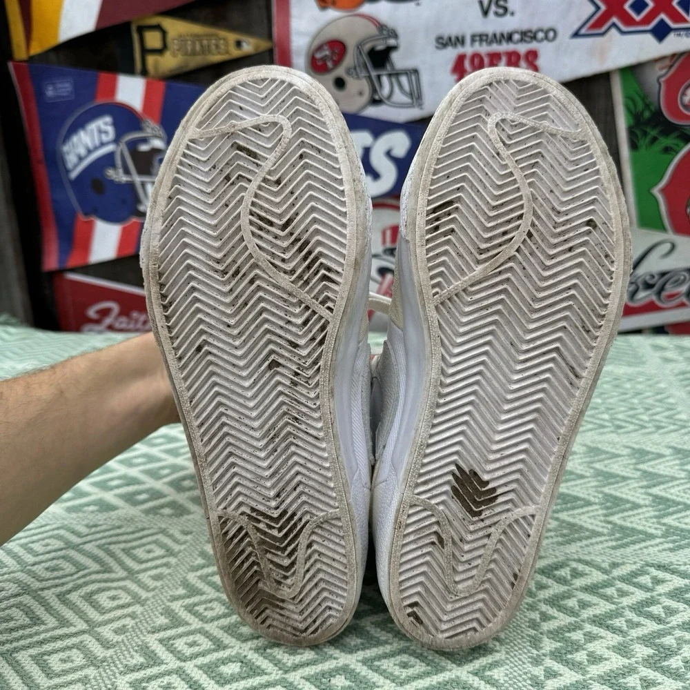 Nike sb zoom