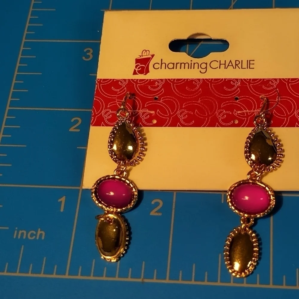 Charming Charlie bundle this