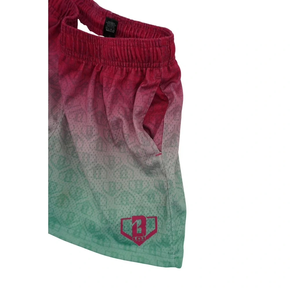 Baseball Lifestyle 101 shorts things