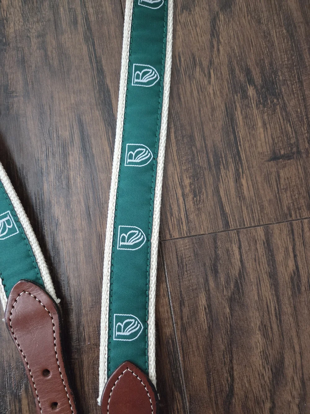 Moon Shine Green Stripe Canvas Leather-Trim Men's Belt