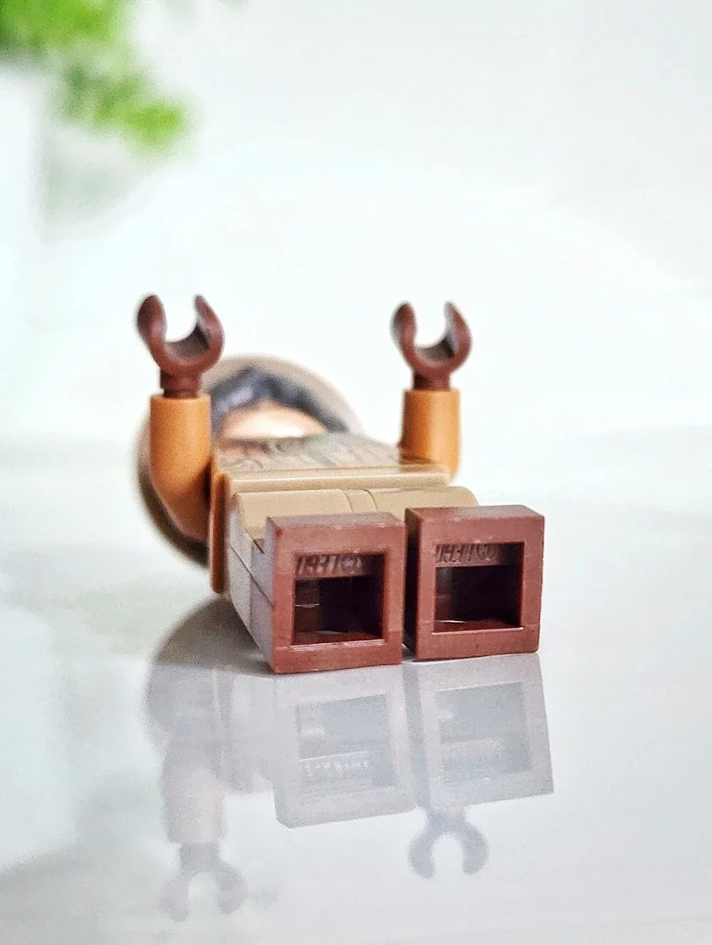 Lego pomona bring class