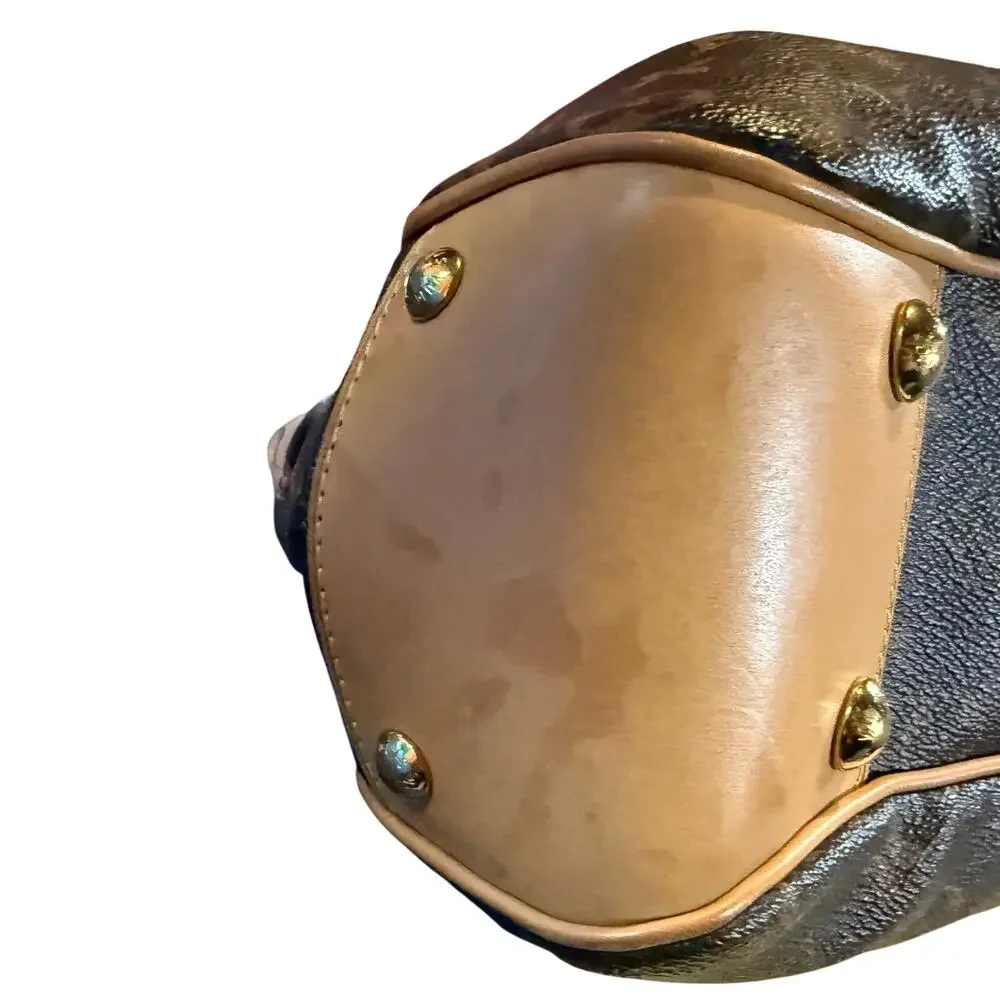 Louis Vuitton authentic louis