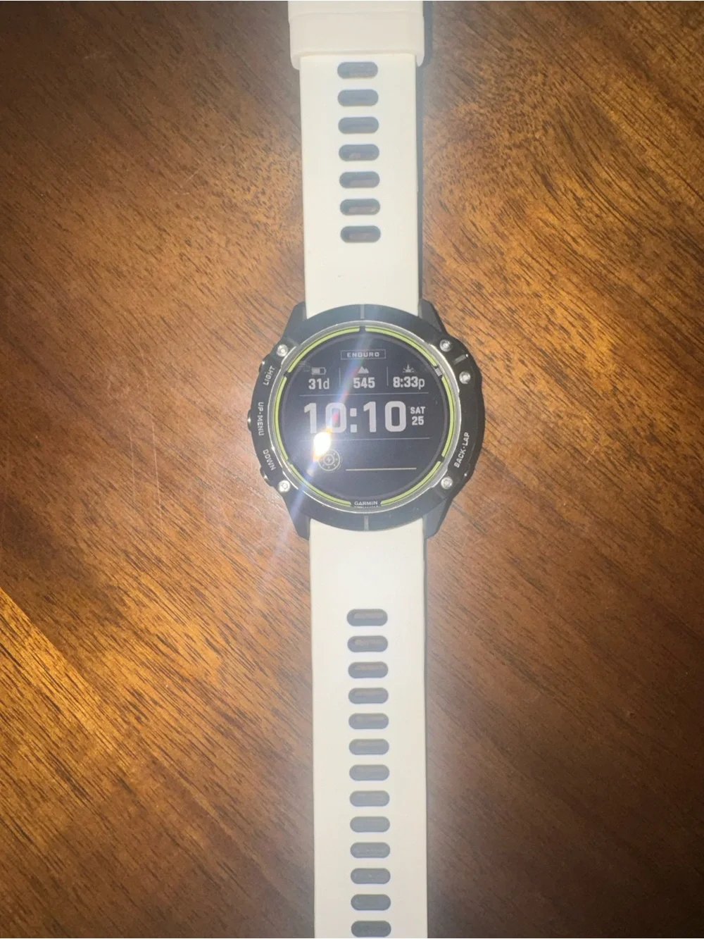 Garmin Enduro and Charger