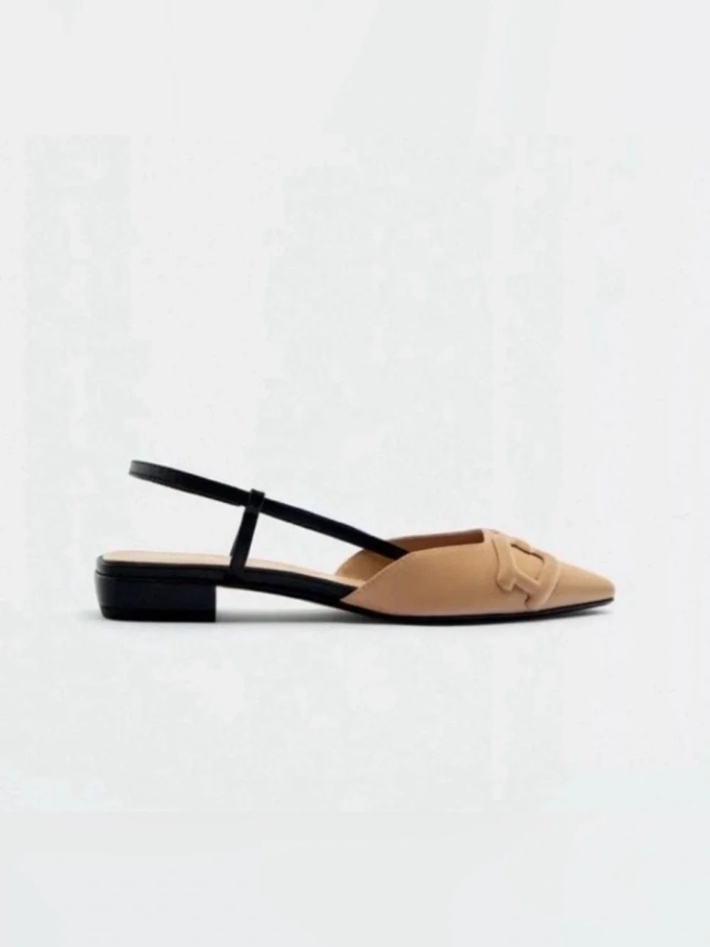 Zara chic pointed