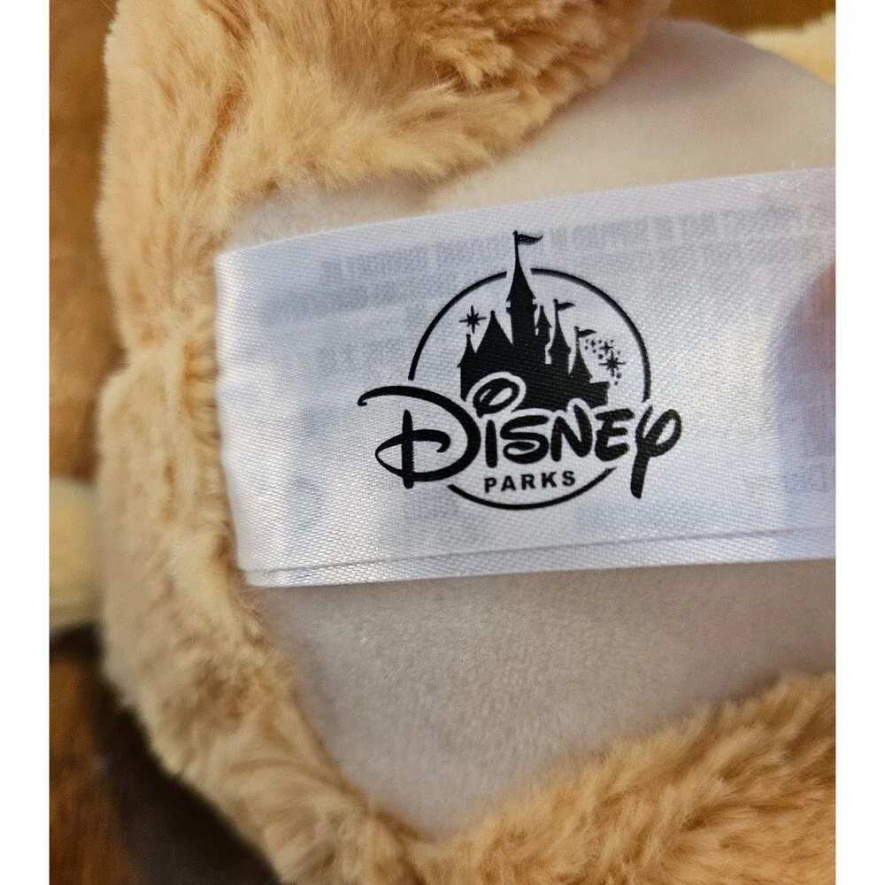 Disney parks simba