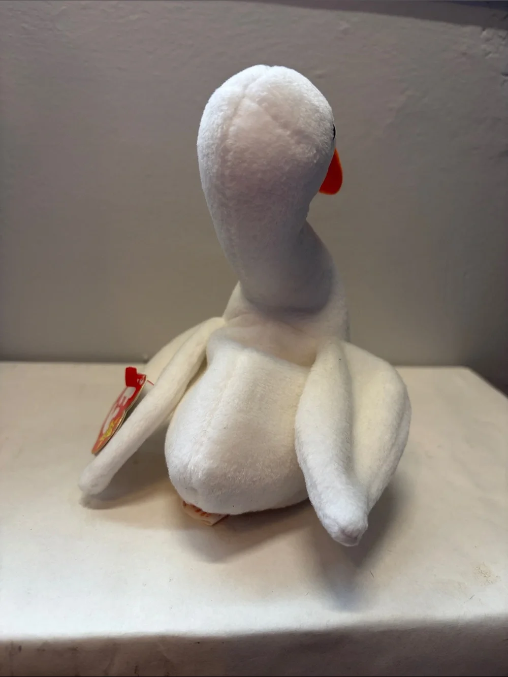 Ty gracie swan
