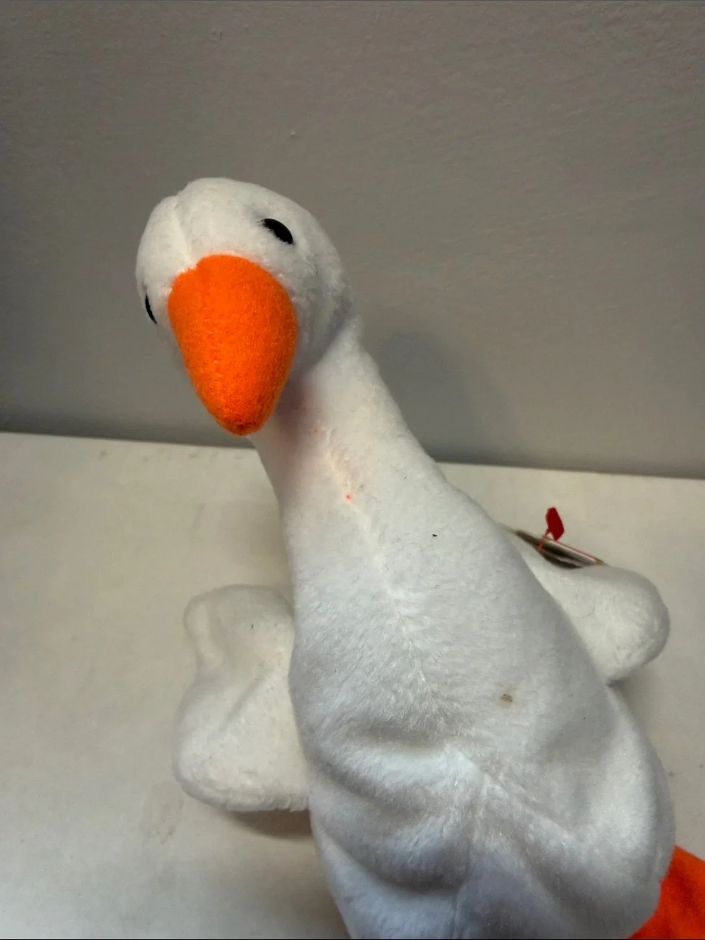 Ty gracie swan