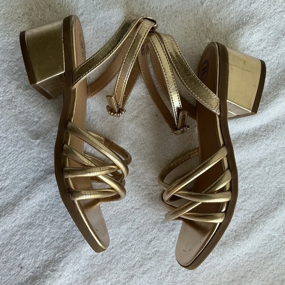 wonder nation chic gold