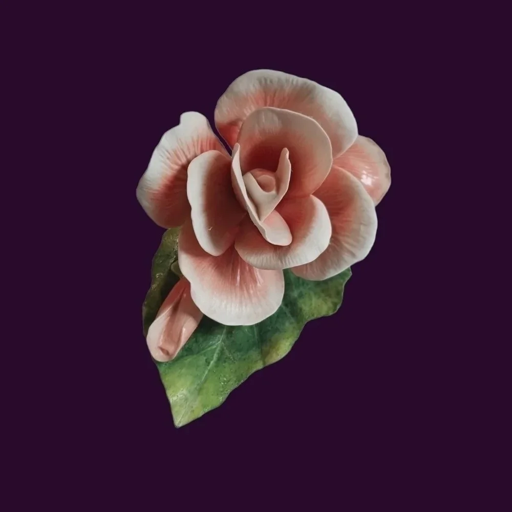 Begonia Ronal V.Ruykevelt Franklin mint begonia