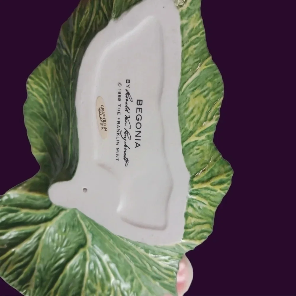 Begonia Ronal V.Ruykevelt Franklin mint begonia