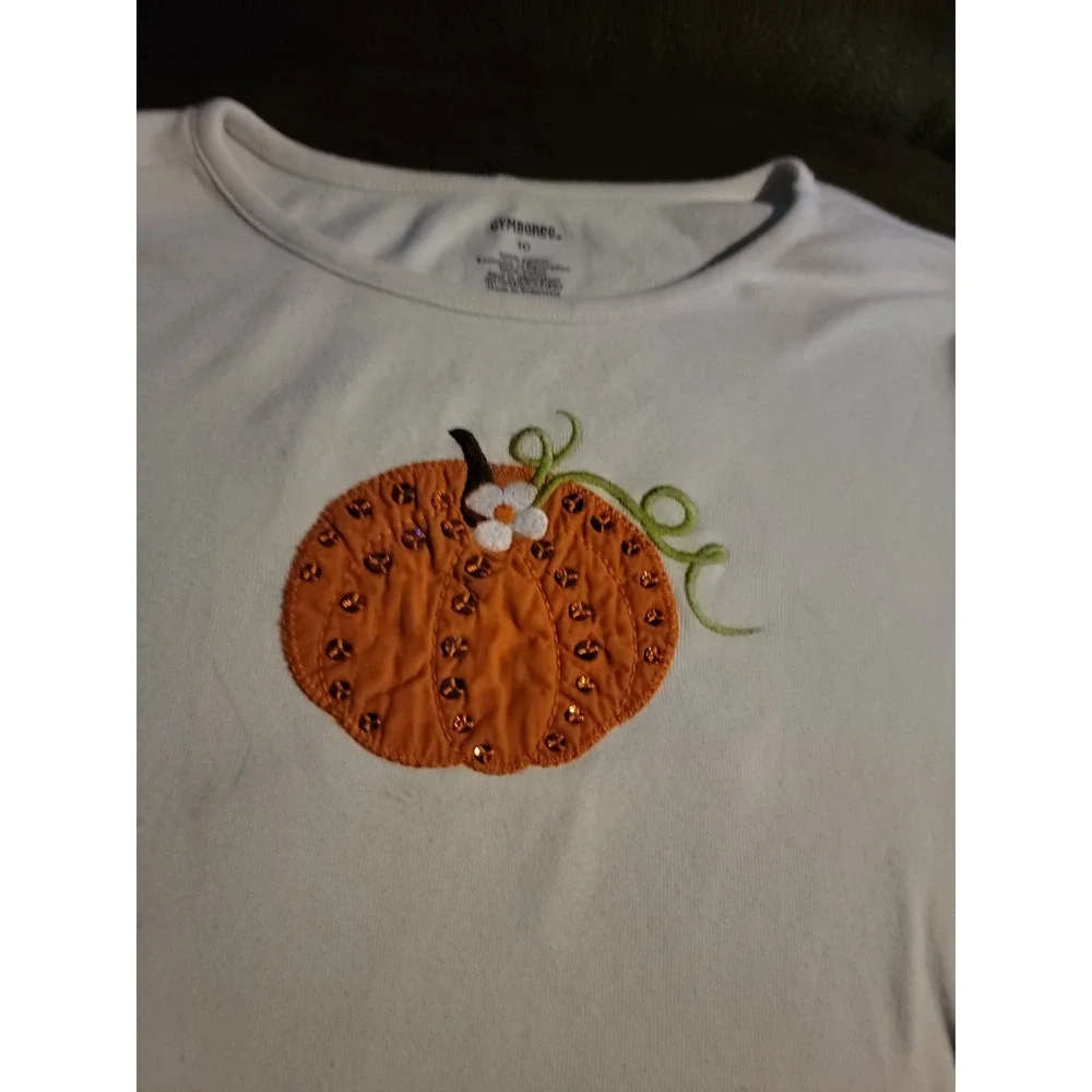 Gymboree top fall