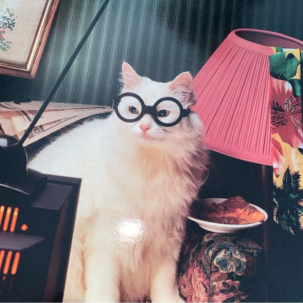 Vintage Pocket Ports! Union Camp Corporation Portfolio Folder Cat Watching TV‎
