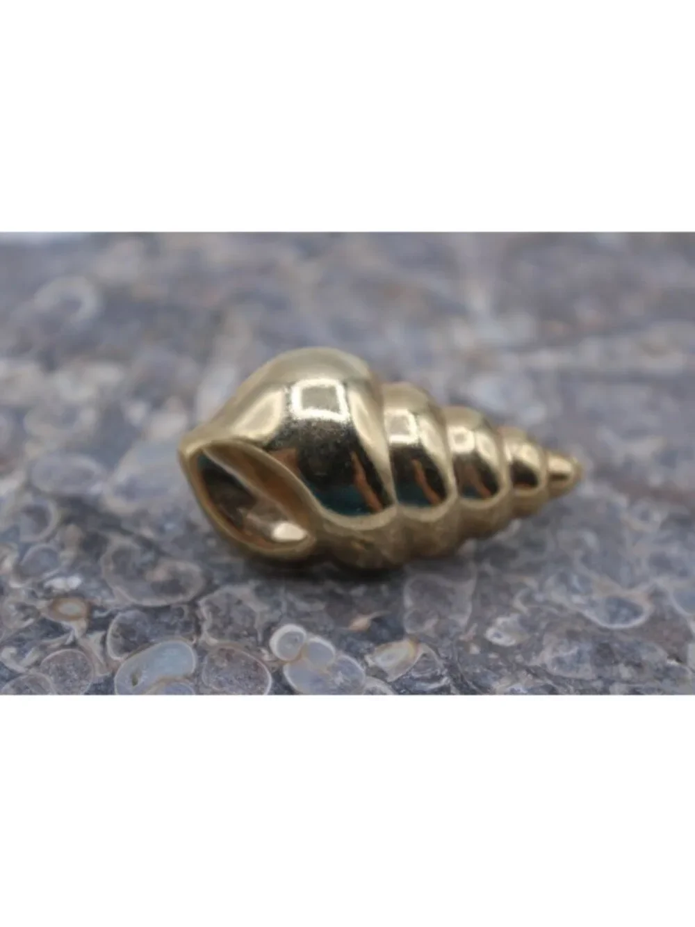 Gold‑Tone Seashell Hair Barrette Vintage Textured Shell Ponytail Clip Accessory