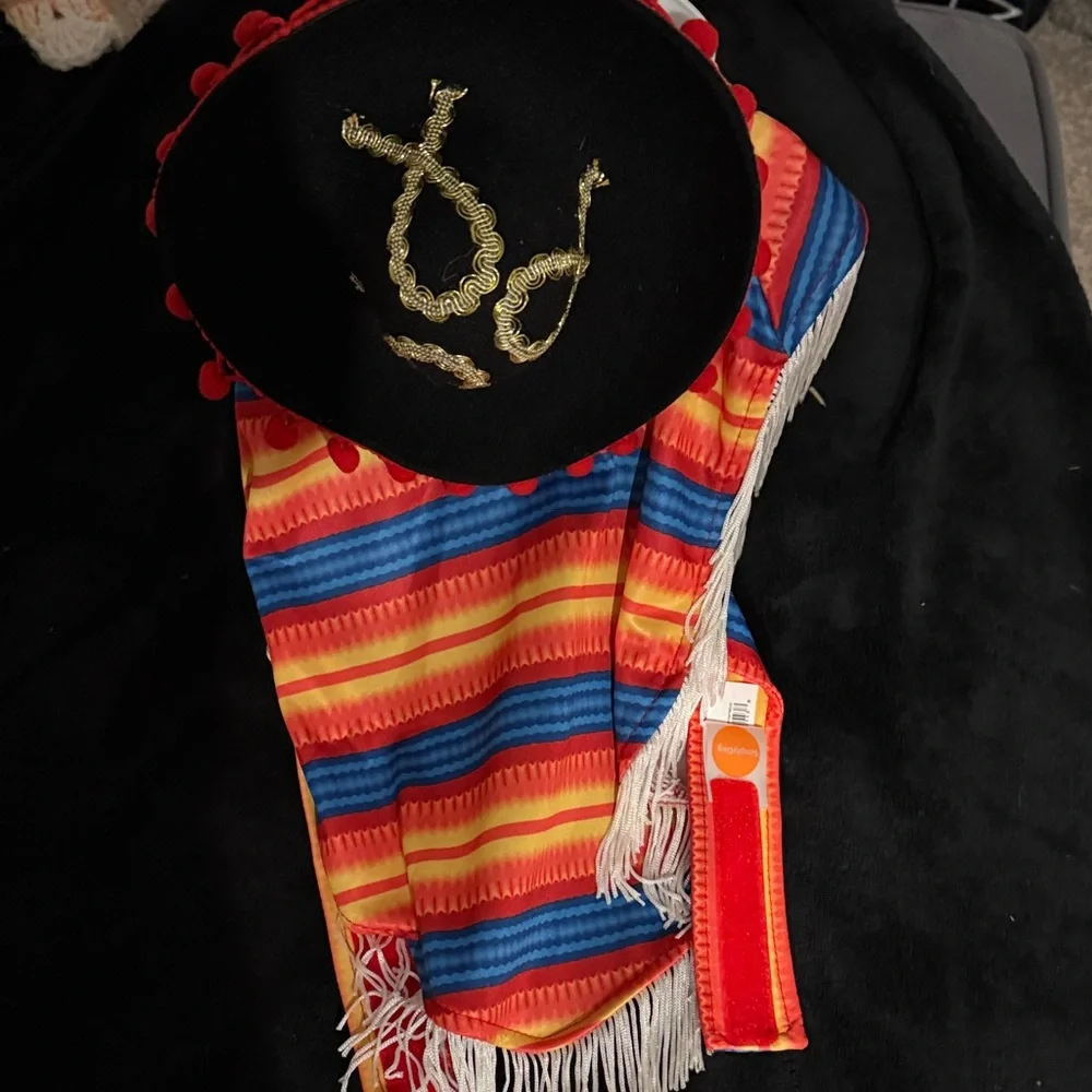 Dog Costume with Hat