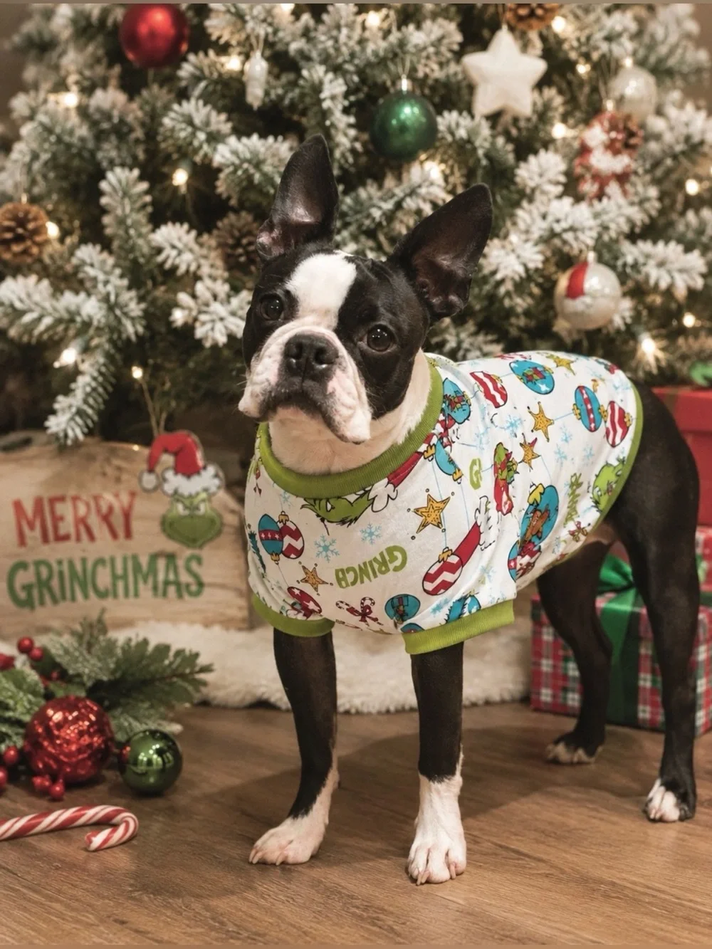 Dog Boutique dress your