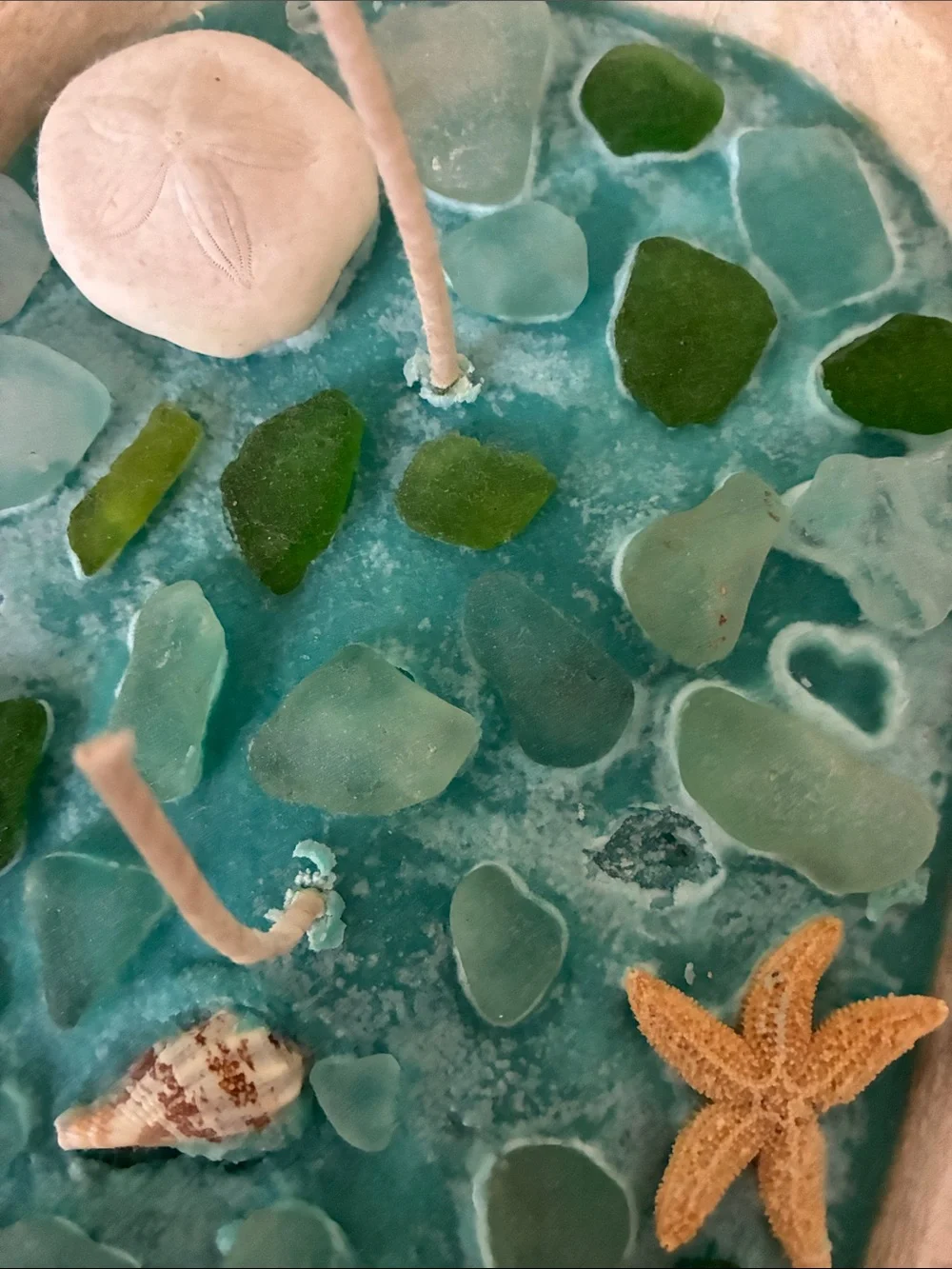 N/A shells ocean serene