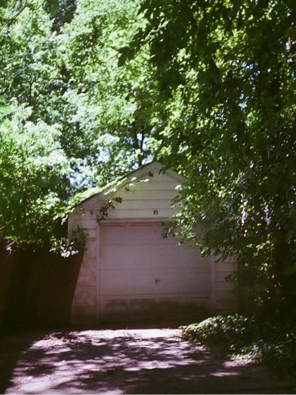 Canon Snappy AF Film Camera FILM TESTED!! WORKS GREAT!!