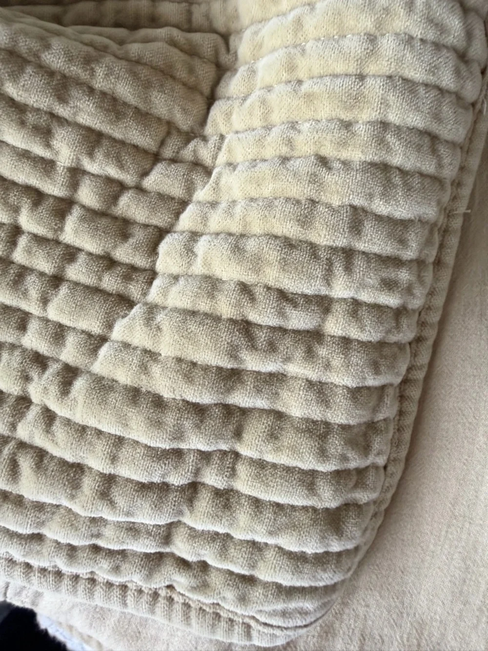 West Elm Washed Cotton Velvet Standard Shams Camel Set of 2 Pair Duo