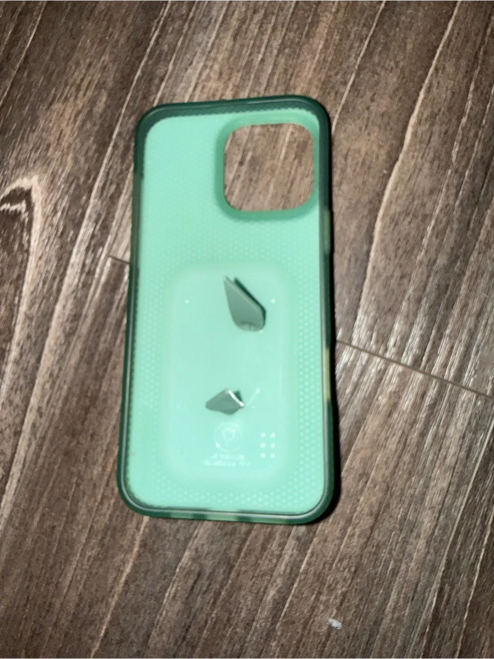Loopy Case mint green