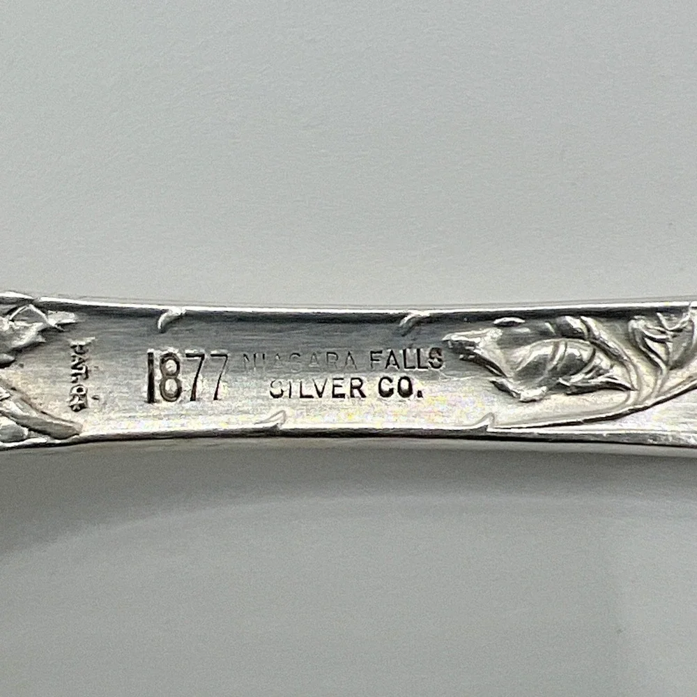 Niagara Falls Silver Co beautiful antique