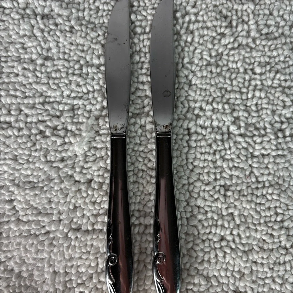 Oneida experience only stainless
