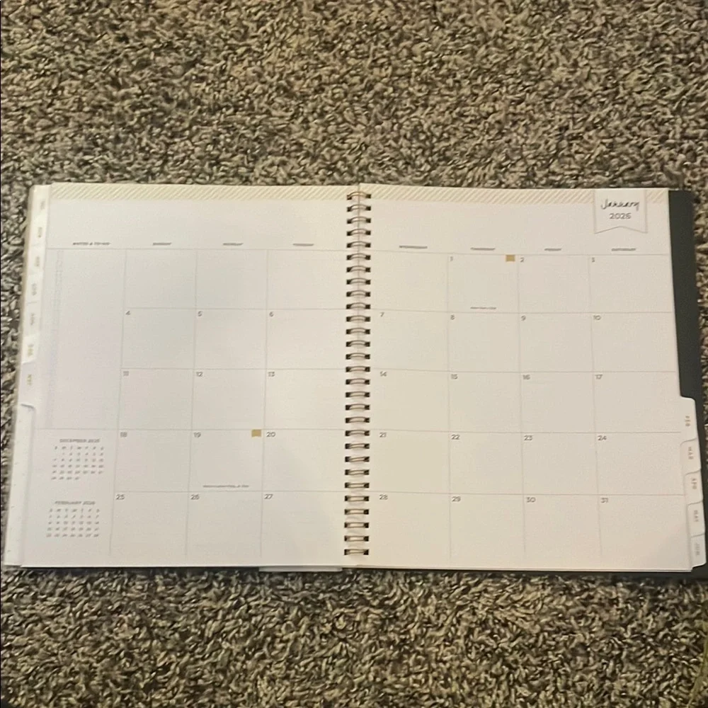 Blue Sky stylish planner