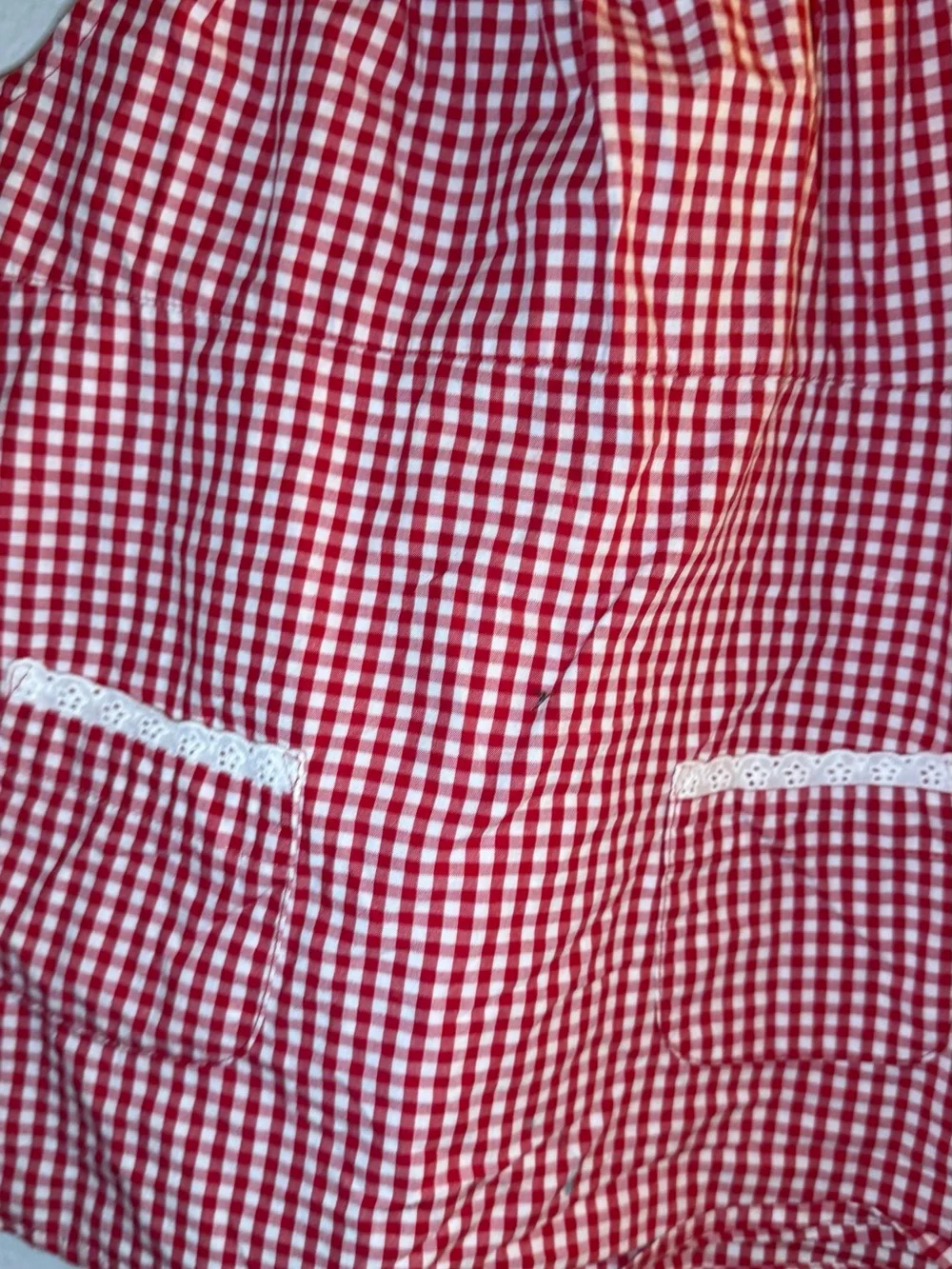 Gymboree Red and White Gingham Dress with Ruffle Neck