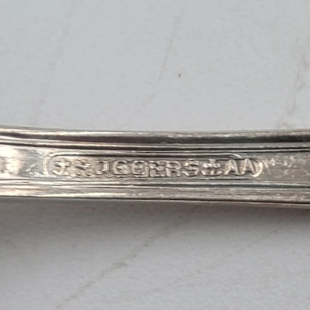 International Silver silver detailing complements