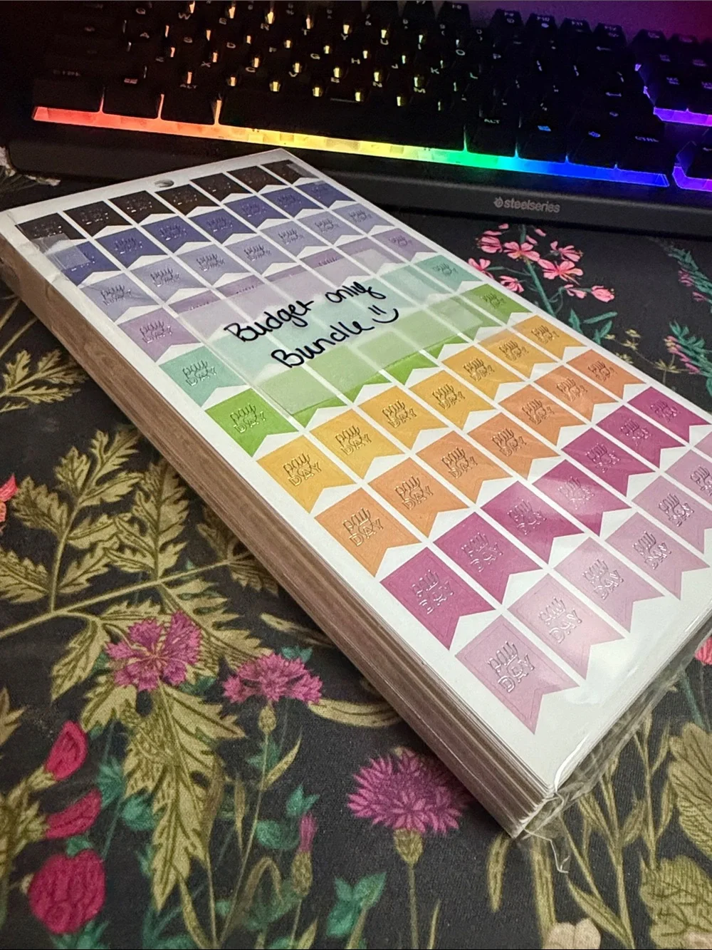 Happy Planner - Budget themed random sticker bundle - SEE PICS